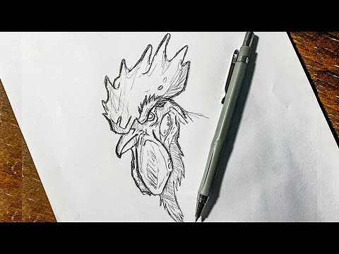 How to Draw a Rooster Step by Step / Drawing a Cock / Easy Drawing Tutorials