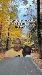 3.1K views · 35 reactions | Cozy Cabins Rentals Up North in Michigan Escaping to a cabin for a little R&R just might be what you need this fall. Cozy up by the fire, grab a book, jump in a pile of leave & enjoy the fall colors. Log cabins A-frame cabins Tree houses | Hey Michigan | Facebook