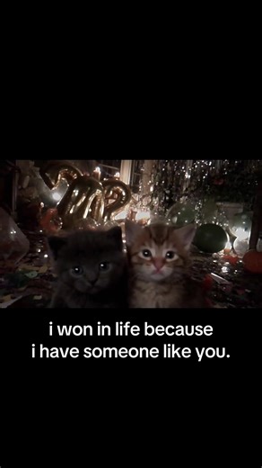 Winning in Life with Love and Companionship