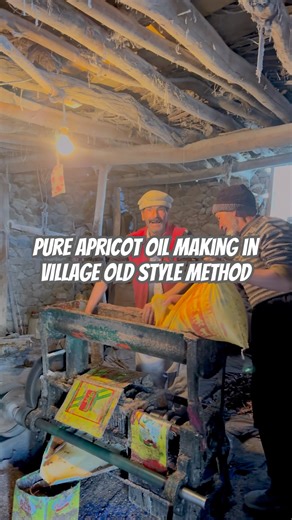 Pure Apricot Oil Making in Village | Old Style Method #ApricotOil#Apricot#DesiOil#TraditionalOil