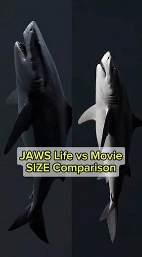 JAWS vs. Real Great White: You Won't Believe the Difference!