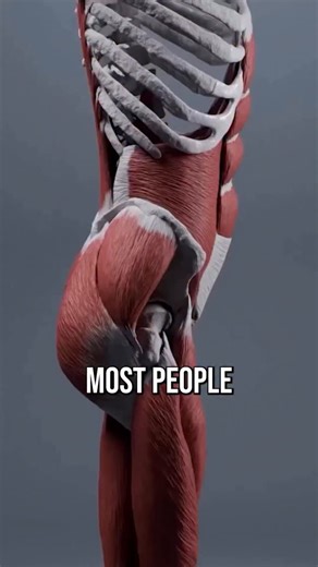 Conor Harris on Instagram: "THE TRUTH ABOUT ANTERIOR PELVIC TILT: Most people take a muscular-centric perspective to posture and anterior pelvic tilt. They think muscles get tight, which then affects the position of the pelvis, which then affects the rest of the posture. Not quite the full picture. A key concept to understand about the body is that skeletal position dictates muscular function. What’s actually going on is that the pelvis is forward as a result of a forward center of gravity. Our 