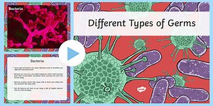 Types of Germ PowerPoint