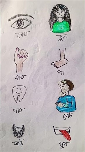 বুদ্ধির পরিক্ষা 🧠😌#paperstory#shorts_video#funnyvideo #funnyshorts#trendingreels #art