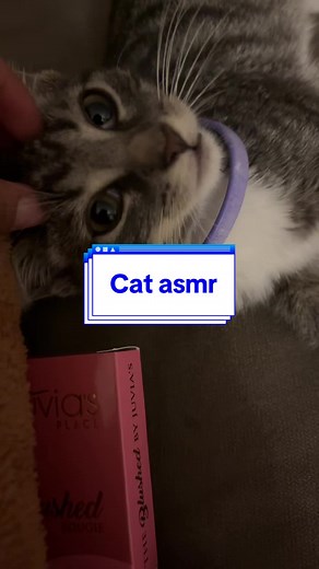 #asmr #catasmrvideo #lofiasmr #mouthsounds #greenasmrr #greenasmrdaily