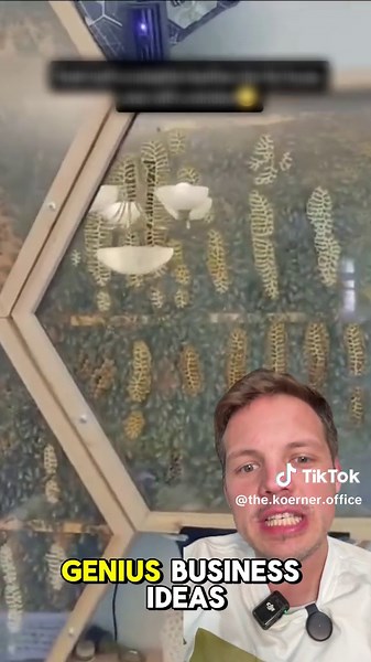 Unique Business Ideas: Inflatable Bubble Dome Airbnb Inside a Zoo