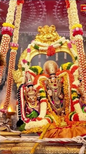 Rare Darshan of Lord Venkateswara on Sacred Jhoola | Divine Blessings #lordvenkateswara