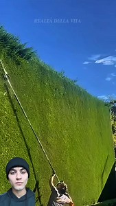 81 reactions | Incredibile: guarda cosa riesce a creare con pochi pezzi di legno A prima vista sembra solo una semplice sedia smontata, ma in realtà dietro c’è un’idea geniale. Spostando e ricombinando con precisione pochi elementi, questa ragazza riesce a trasformare delle assi comuni in una vera e propria tavola funzionale. Un esempio perfetto di creatività, logica e riuso intelligente dei materiali.#viralpost #curiositá #fblifestyle | Realtà Della Vita | Facebook