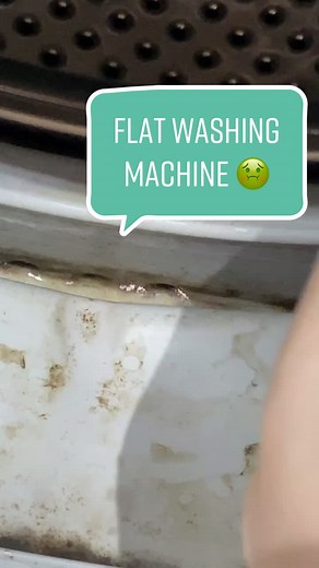 Best I could get it 😅 #washingmachine #washingmachineclean #mould #hinching #dirtyclean #fyp #foryouclean #cleantok #tiktokclean #cleaning