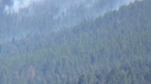 Today, two Canadian CL-415 airplanes, also known as 'super scoopers,' dropped water from Lake McDonald on areas of the Sprague Fire. If you're in the park today, you may see this firefighting effort from Camas Rd. overlook, Fish Creek picnic area, and Apgar Village. The planes have two pilots and have capacity for 1600 gallons of water! Find more Sprague Fire info here: https://inciweb.nwcg.gov/incident/5510/ (ed) | Glacier National Park