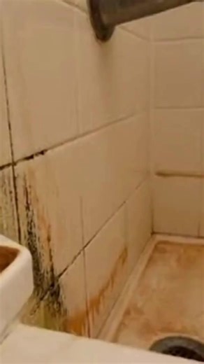 Une astuce simple pour nettoyer votre salle de bain ! Elle est 10 fois plus puissante et plus efficace que l’eau de javel ! | Astuces de Grand-Mère