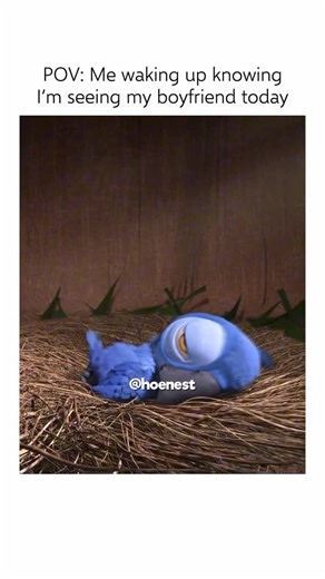 Hoenest on Instagram: "🎬 Fun Fact: In Rio (2011), the character Blu, a domesticated Spix’s macaw, was thought to be the last of his kind. Ironically, at the time of the movie’s release, the real Spix’s macaw was considered extinct in the wild. However, thanks to conservation efforts, some of these beautiful birds have been reintroduced to their natural habitat in Brazil, making Rio unintentionally prophetic in inspiring wildlife preservation!"