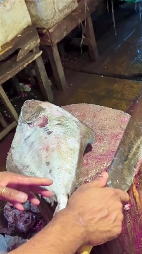 Monkfish Underwater Encounter