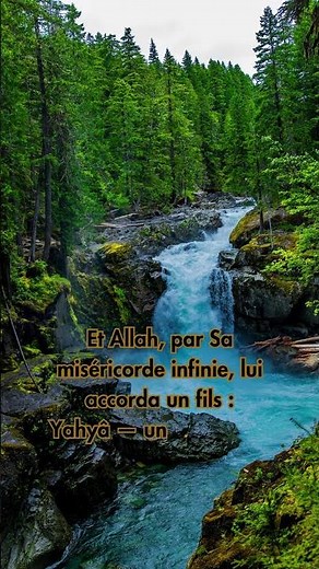 🌿 Prophète Zakariyyâ عليه السلام – L’histoire d’une invocation exaucée #directmecca #coran