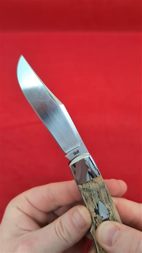 Hill-Lock Folder with Mammoth Ivory - CPM-154 Stainless Steel by Tobin (Toby) Hill