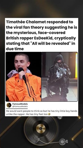 Timothee Chalament responded to the viral fan theory suggesting he's the mysterious face-covered