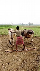 966K views · 3K reactions | How Does It Look When Reversed?...