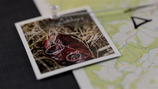 Η χρήση δηλητηριασμένων δολωμάτων είναι έγκλημα κατά συρροή - TV spot