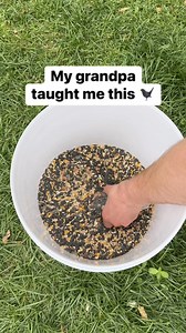 3M views · 2.1K reactions | Keep squirrels from eating  #gardentips #birdwatching #lifehacks | Life With Wes & Alison | Facebook