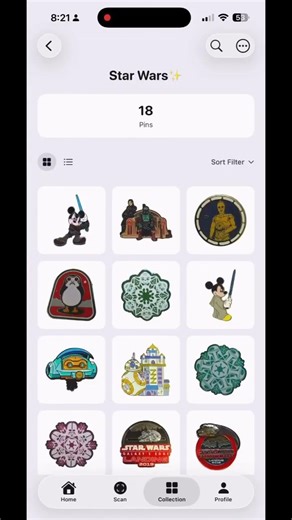 Your Disney Pins Collection Fully Organized ❤️