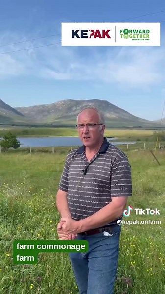 Insights from a 10th Generation Sheep Farmer in Ireland