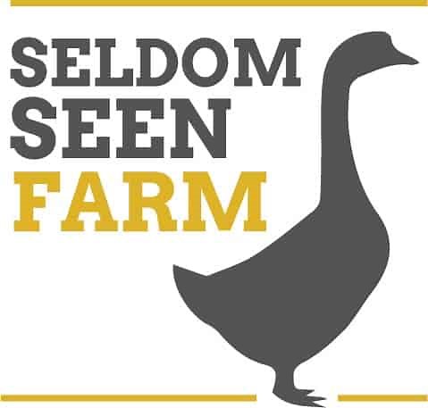 Free range geese from Seldom Seen Farm