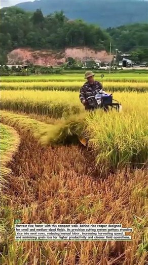 Compact Rice Reaper Boosts Harvest Efficiency! #RiceHarvest #FarmTech #Agriculture