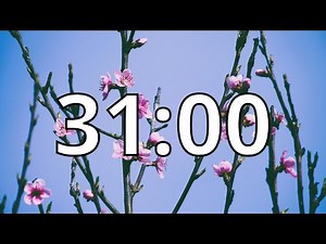31 Minutes Timer with Music | Spring Timer