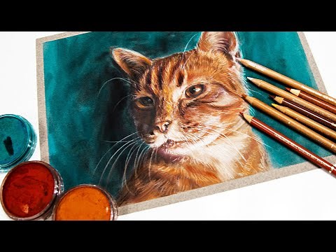 PanPastel & Colored Pencil Tips - Drawing an orange tabby cat!