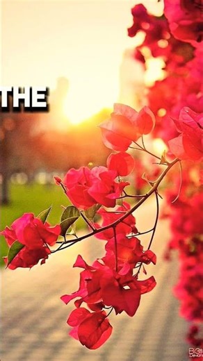 Night Mood Video 🌃 | Relaxing Night View