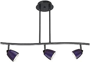 Benjara 3 Light 120V Metal Track Light Fixture with Glass Shade