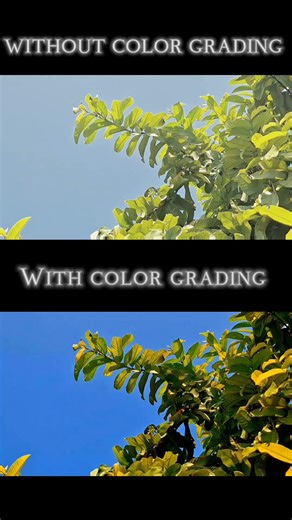 difference between with color grading and without color grading.