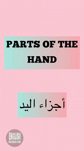 205K views · 5.6K reactions | #education #English #learning | English for Beginners | Facebook