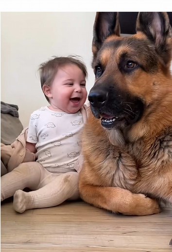 German Shepherds: Love and Protection for Children