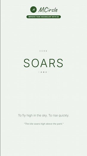 Learn English: What is Soars? | Vocabulary Shorts