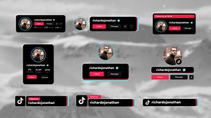 TikTok Follow Elements
