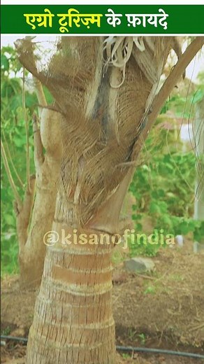 Agritourism क्यों है ज़रूरी और कैसे करें इसकी शुरुआत? Agriculture | Tourism #viral #shorts