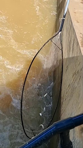 Men dep net fishing under dam #fish #netfishing #fishing | Chaly Fishing