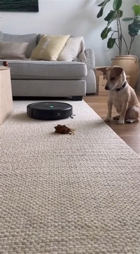 316K views · 1.1K reactions | Auto-cleaning… gone wrong! | Jessica | Facebook