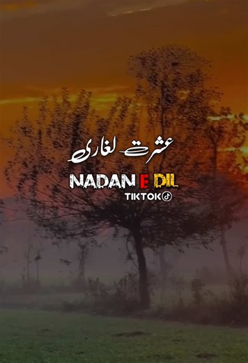 #سنگت_ویڈیو_وائرل_کریسو_آپ_ہیں🥀🌼🙈 #foryoupage❤️❤️ #foryou #foryoupage❤️❤️