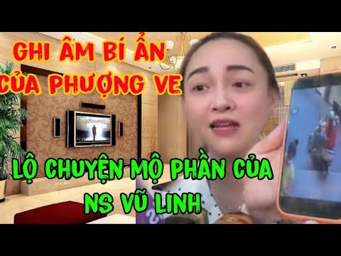 🔴 Toang Rồi : Bùm Bum Tung Ghi Âm Lên Tố Phượng Ve Vì Đánh Tráo Khái Niệm Về Mộ Phần NS VŨ LINH.