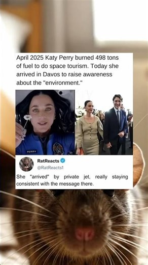 She Arrived By Private Jet To Raise Awareness About Protecting Our Natural Global Environment Right