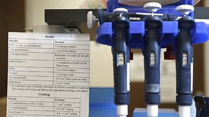 What exactly is a Rape Kit?