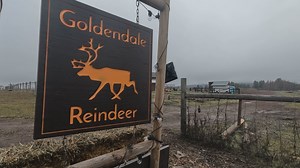 Believe in the magic of Christmas at Goldendale Reindeer