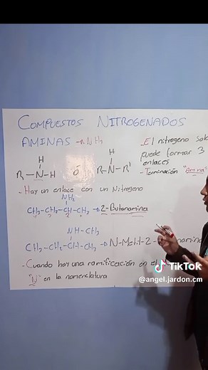 Características y Nomenclatura de las Aminas