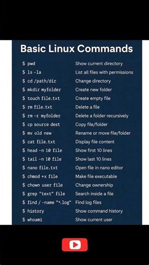 Essential Linux Commands for Beginners (Quick Guide)