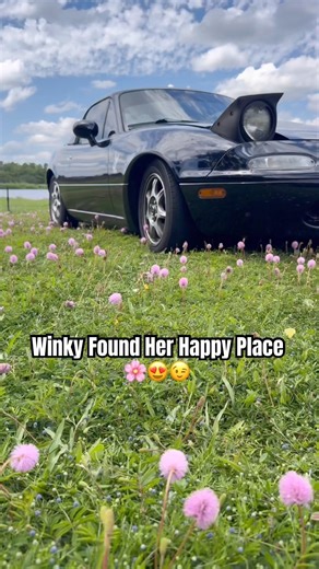1994 Winky Miata Found Her Happy Place 🌸😍😉 #Miata #CuteCars #CarTok #nature