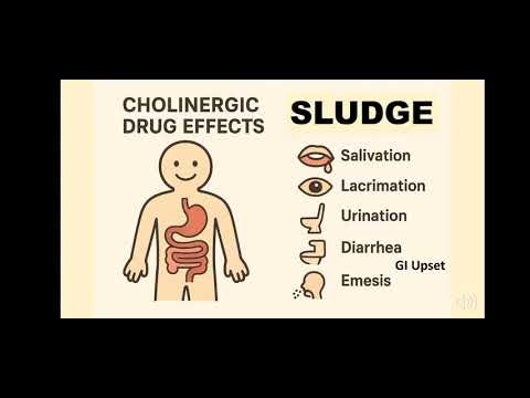 Mnemonic: Cholinergic drug effects