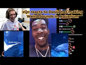xQc reacts to Desiigner too excited seeing alot of Fish in Aquarium