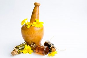 Young Living vs. Melaleuca: Comparing Brands